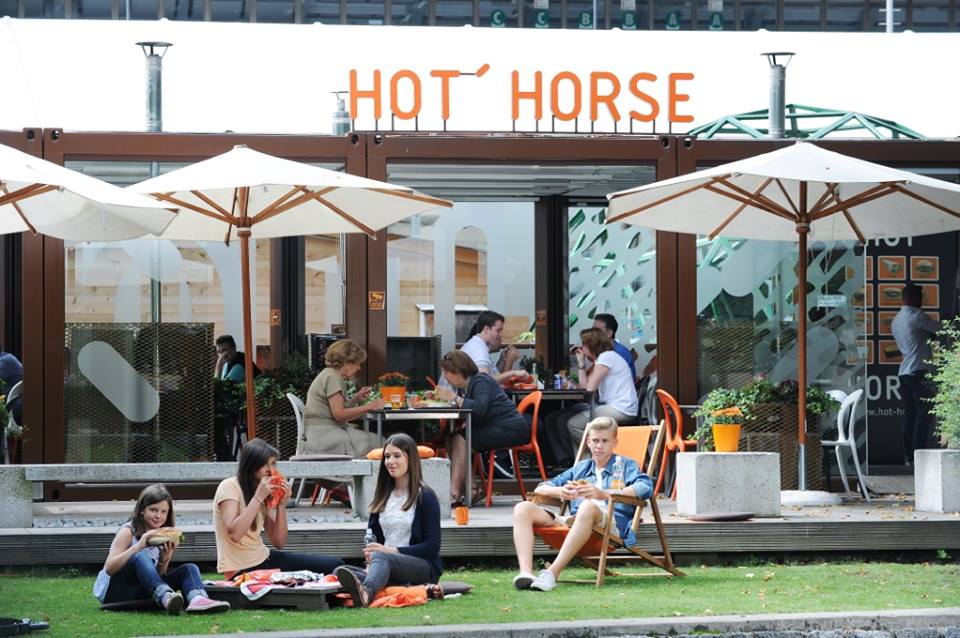 hothorse_03